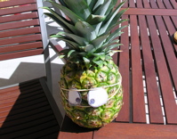 Pineapple